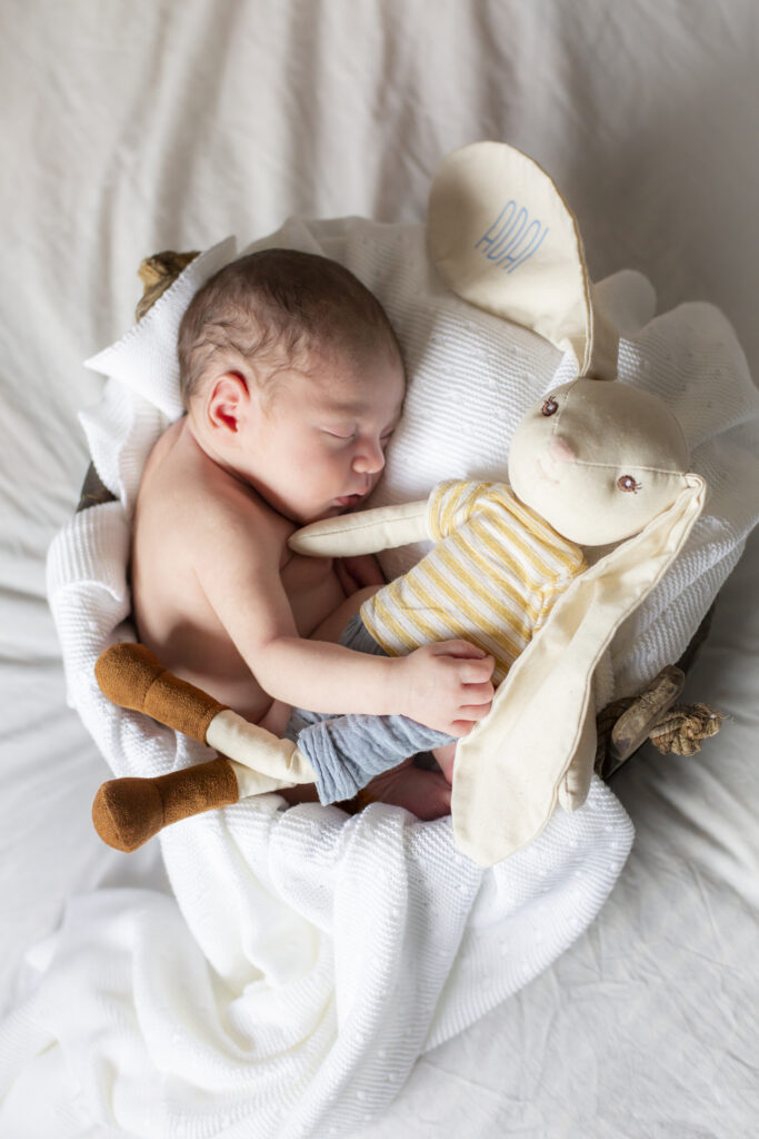 adai 11 dies 024 copia